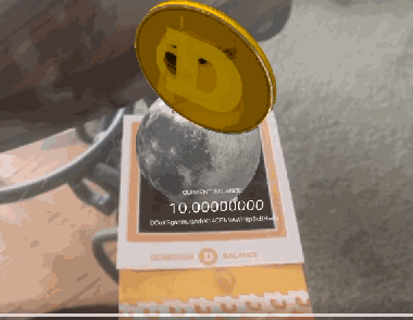 Animated gif showing the Augmented Reality Dogecoin-Balance app functions