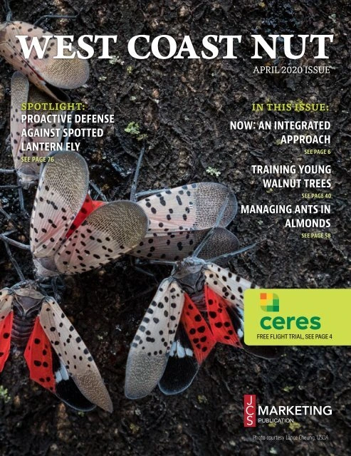 West Coast Nut: April 2020 cover